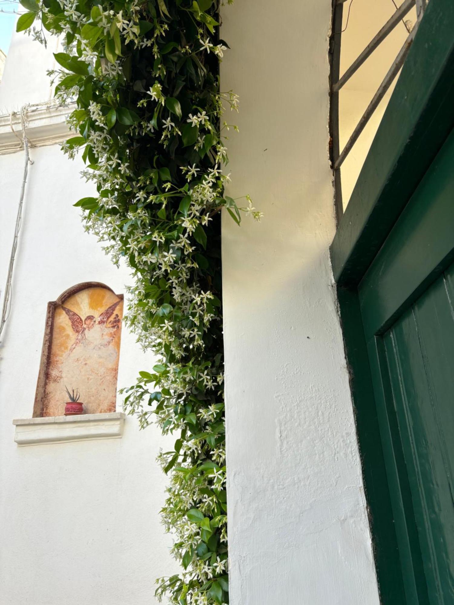 B&B Antica Dimora Dell'Angelo Nardo Ngoại thất bức ảnh